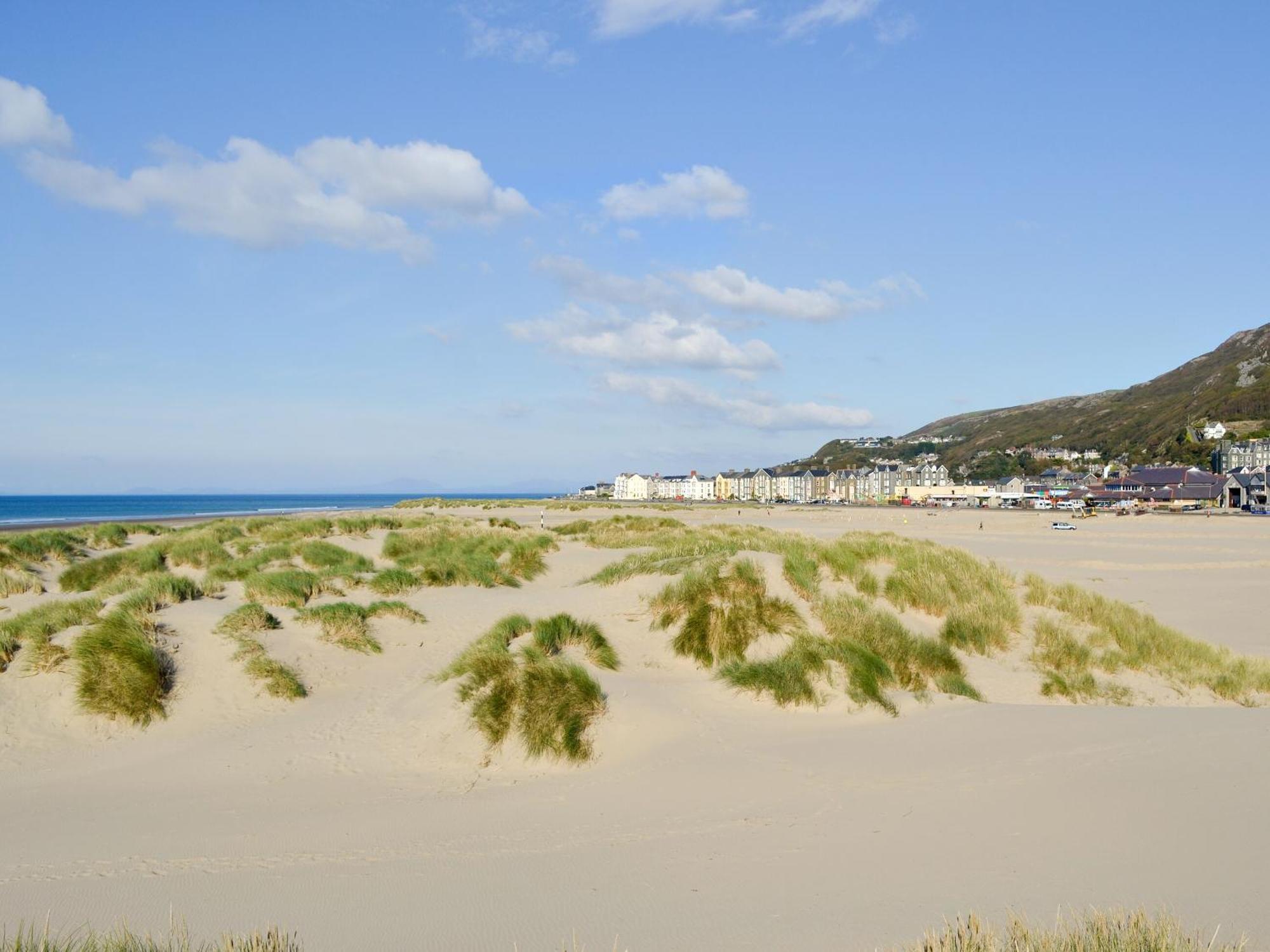 Cae-Fadog Fach Villa Barmouth Eksteriør billede
